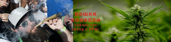 СК Аркадак