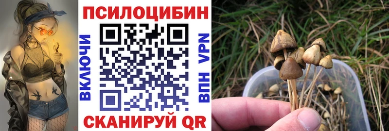 Купить закладки  Карабаново  Галлюциногенные грибы Psilocybine cubensis 